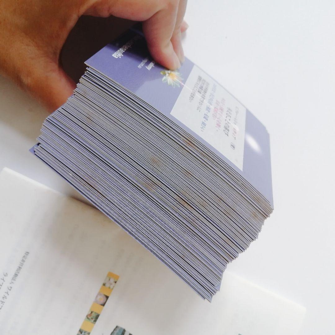 【難あり】88本ワールドフラワーエッセンス　花カード付き　レメディセット