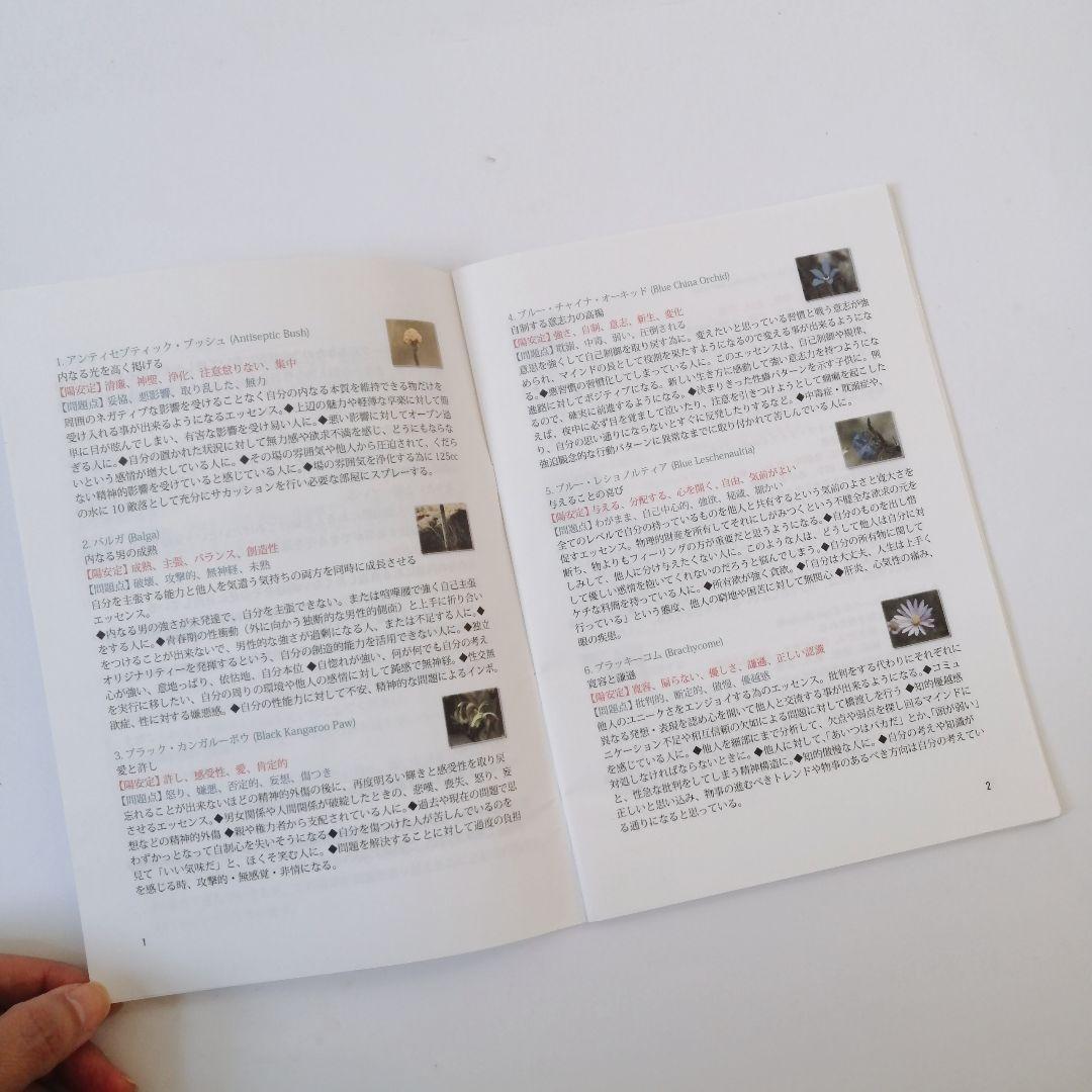 【難あり】88本ワールドフラワーエッセンス　花カード付き　レメディセット