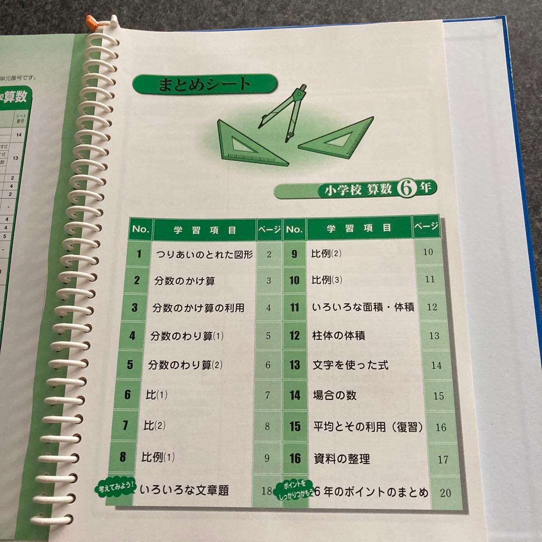 家庭学習専用指導書 小4-6 算数　国語