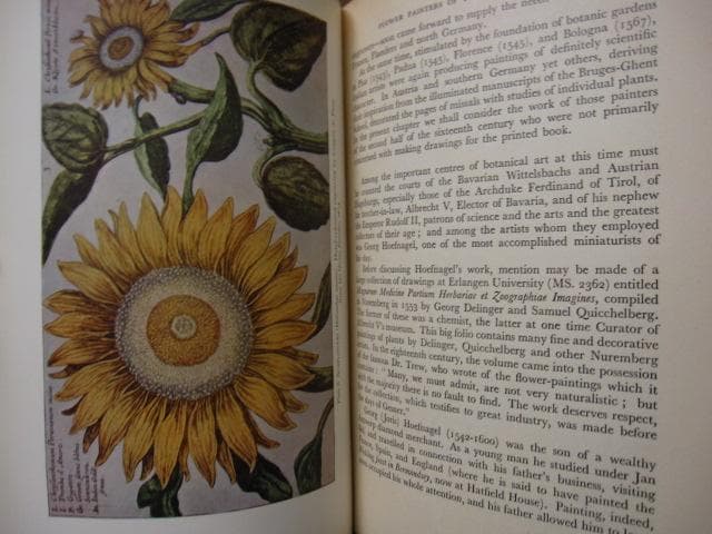 The Art of Botanical Illustration　植物画