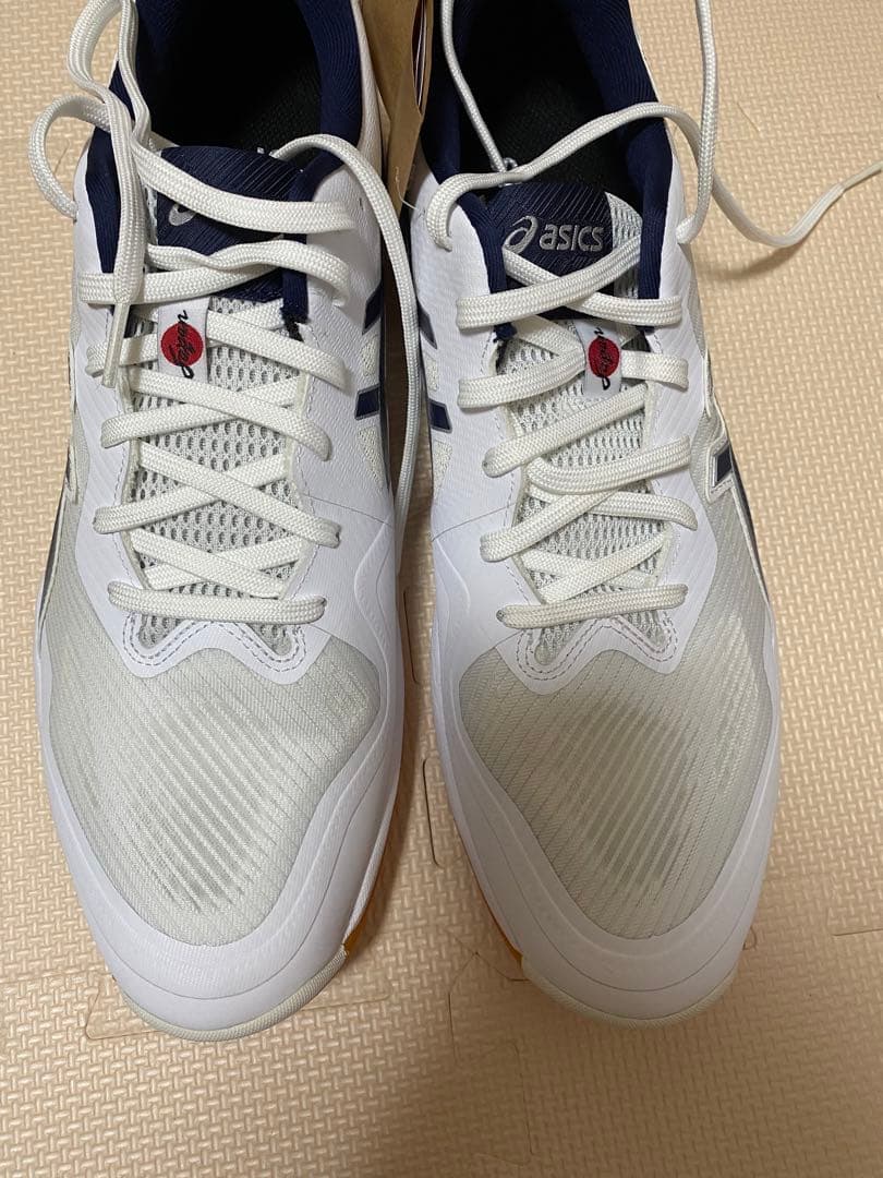 【箱タグ付き】ASICS ROTE JAPAN LYTE FF 3 30.0cm