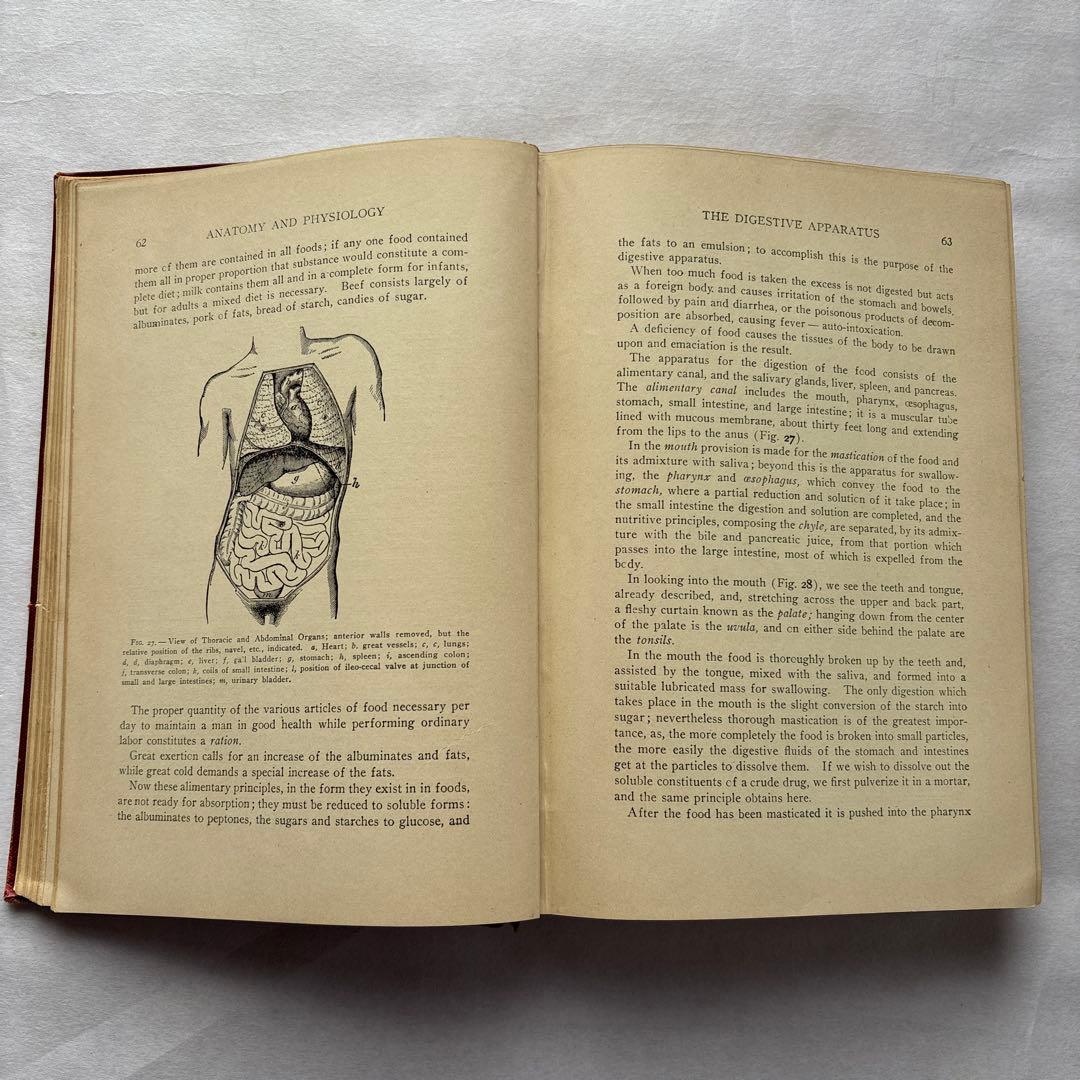 【洋書・軍事】米国陸軍、海軍衛生部隊、州兵、海軍民兵のための完全ハンドブック