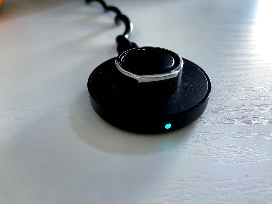 健康アクセサリー Oura Gen3 Heritage Silver US10 Set