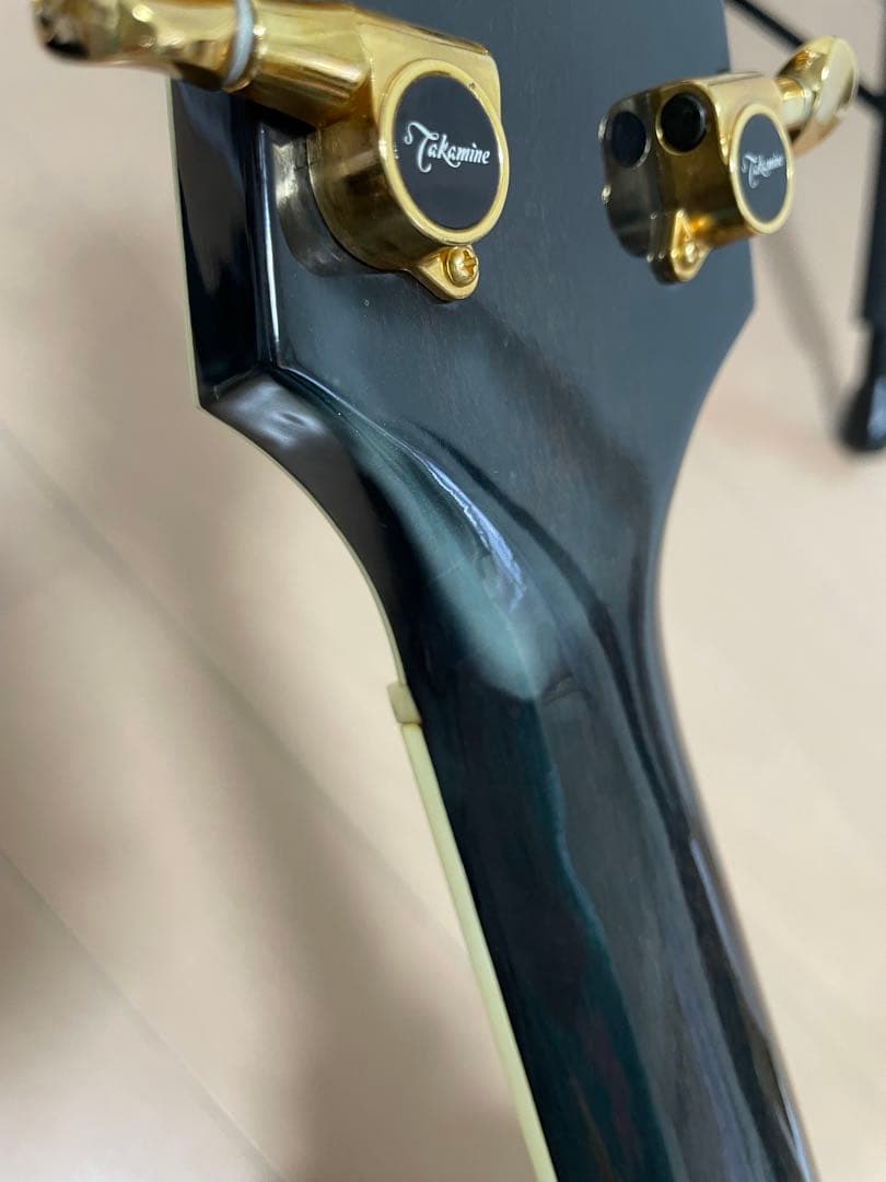 Takamine タカミネ PT-108 アコースティックギター エレアコ