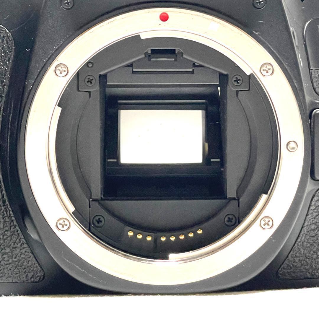 表現力を高めたい人へ❣️ Canon EOS 60D 超望遠ダブルレンズセット✨