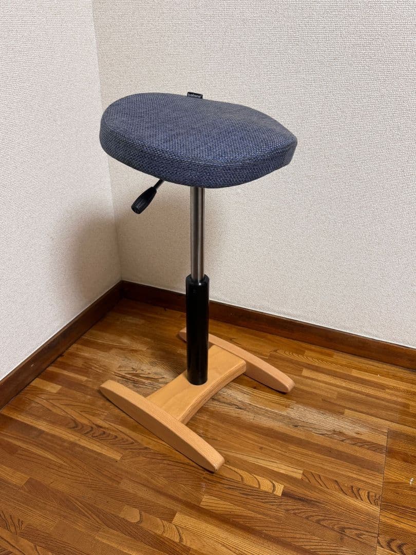 balans Synergy サイズ330mm + 358mm クッションチェア