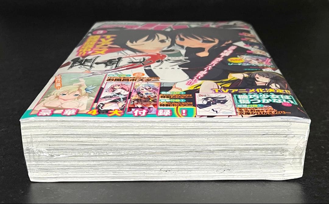 ●コミックアライブ 2013年 3月号 ●新連載 ノーゲーム・ノーライフ 榎宮祐