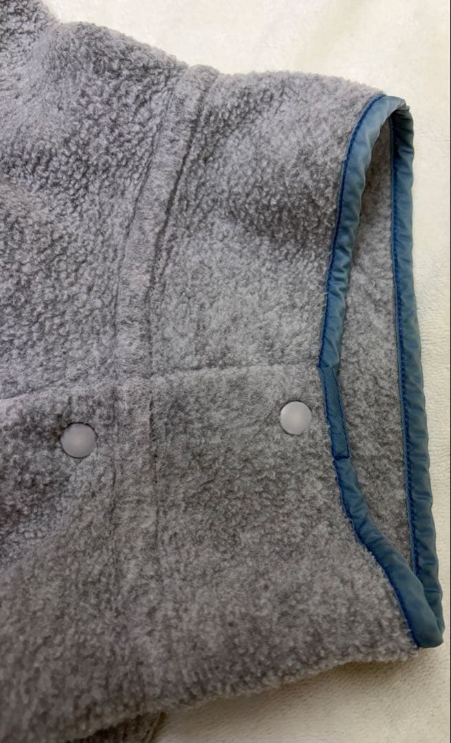 Patagonia シンチラ スナップT 雪なし