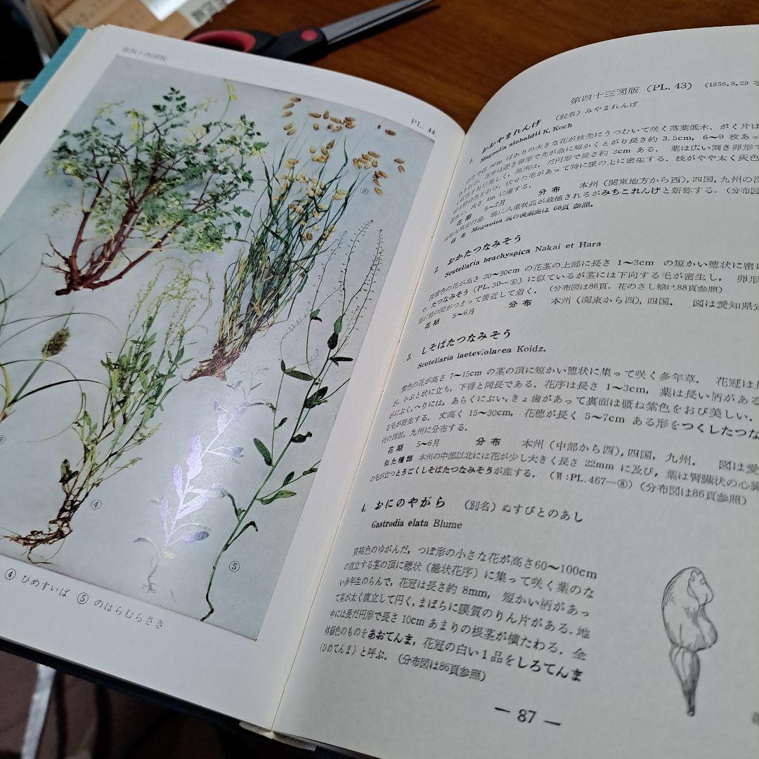 【絶版・希少】　原色日本野外植物図譜1~7セット　新光社