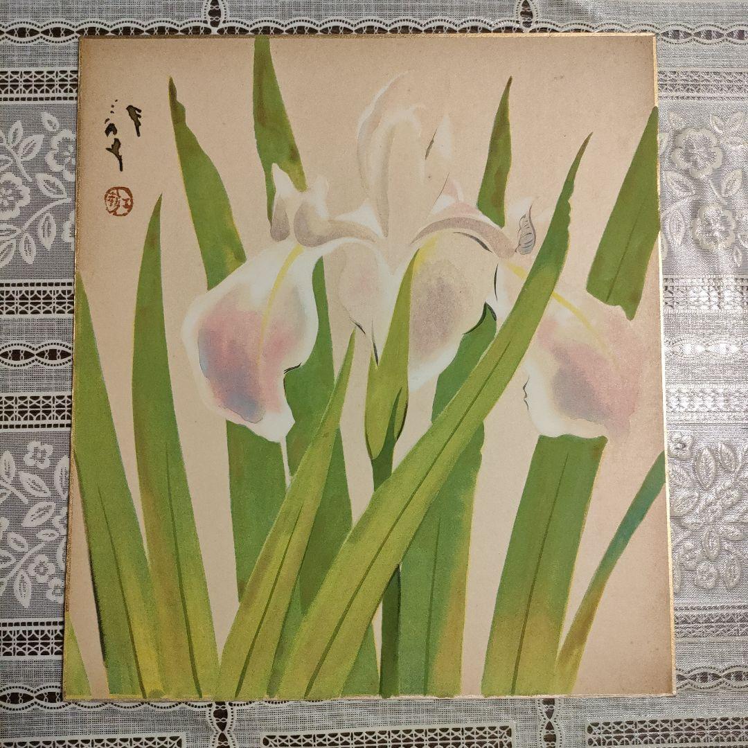 \"川端龍子\"　色紙12枚揃『花鳥十二ヶ月図』オリジナル額装品