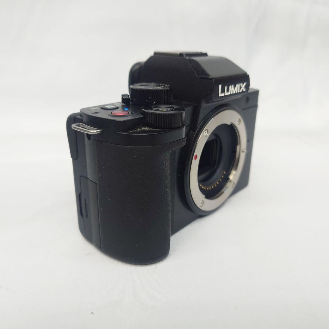 パナソニック LUMIX DC-G100 ミラーレス 一眼カメラ 充電器付き
