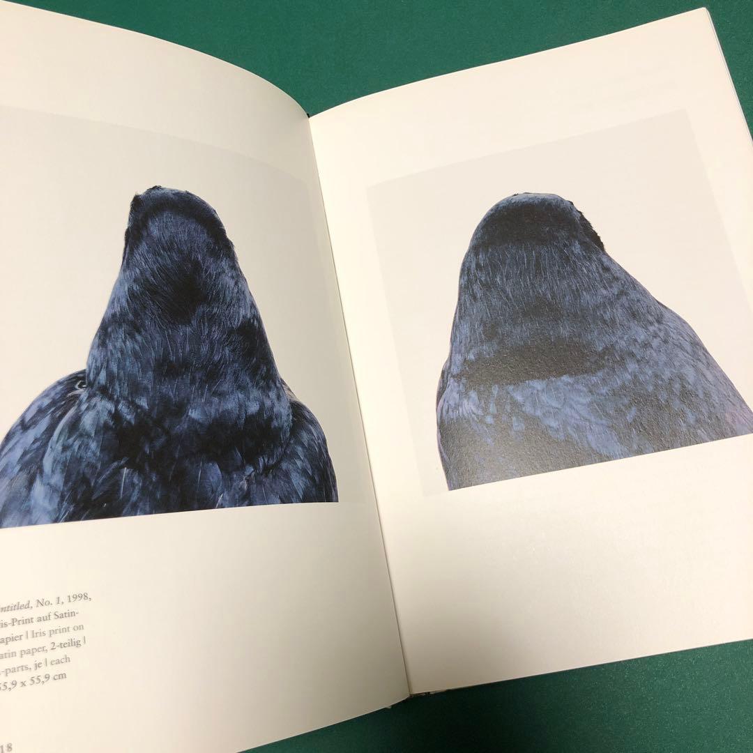 Roni Horn ロニ・ホーン 作品集