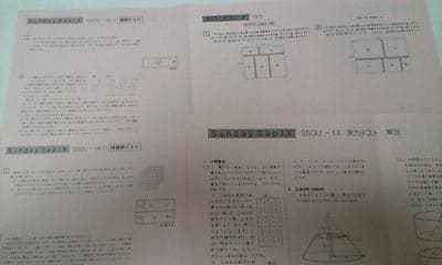 サピックス ＳＳ特訓＊６年＊算数／桜蔭 対策プリント＊全４９回完全版～激レア貴重