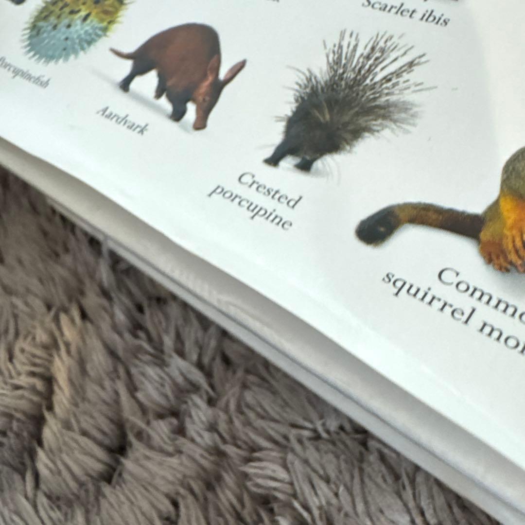 地球博物学大図鑑