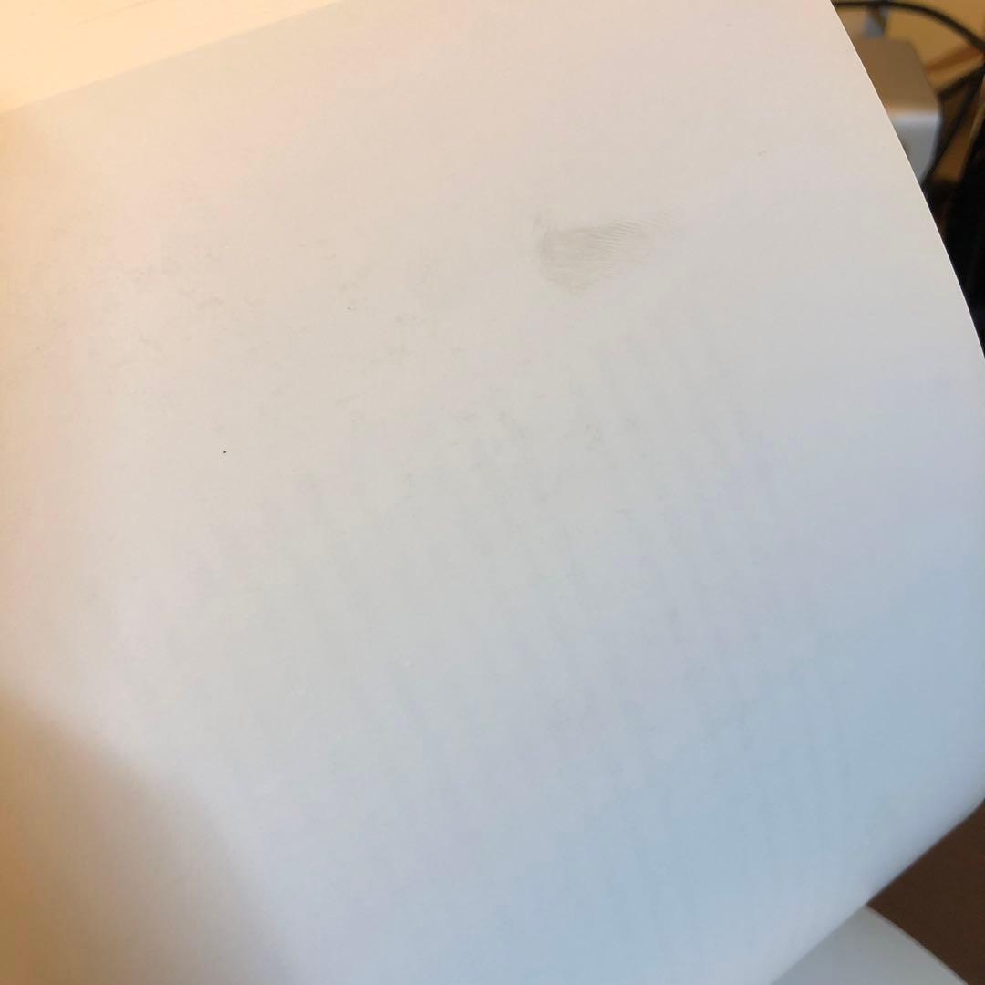 (初版) Bruce Davidson - In Color (洋書)