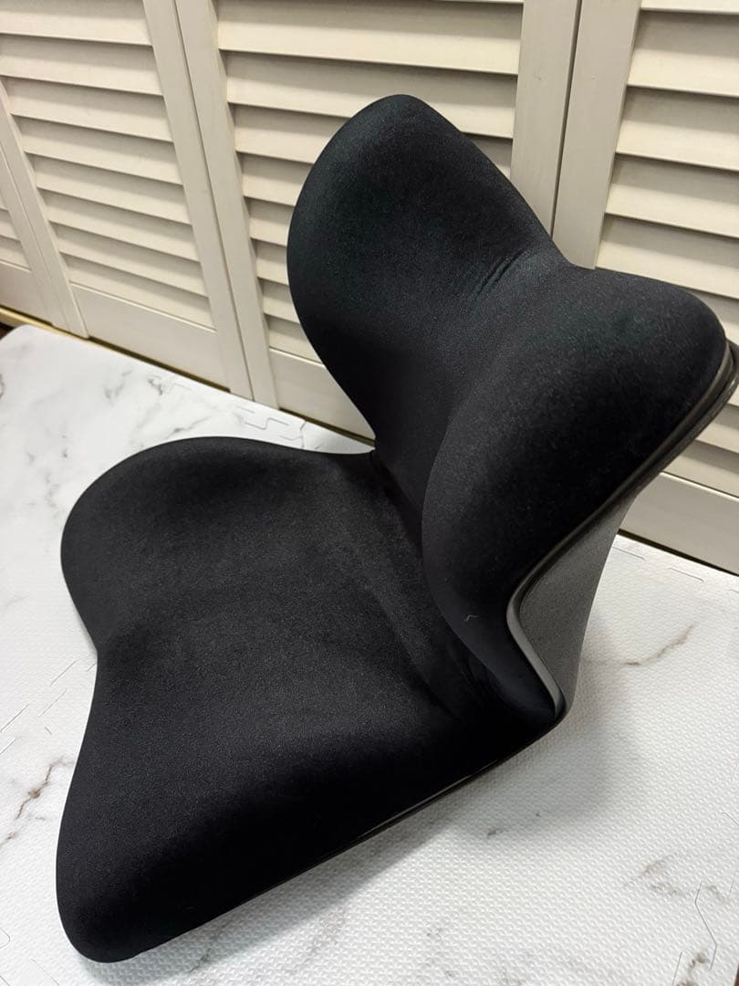 【 美品 】Style PREMIUM DX