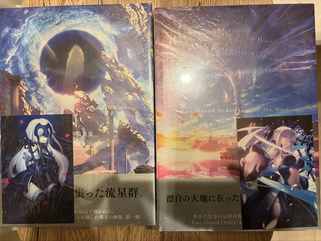 FGO 最終再臨画集 新品 2冊セット Fate/Grand Order