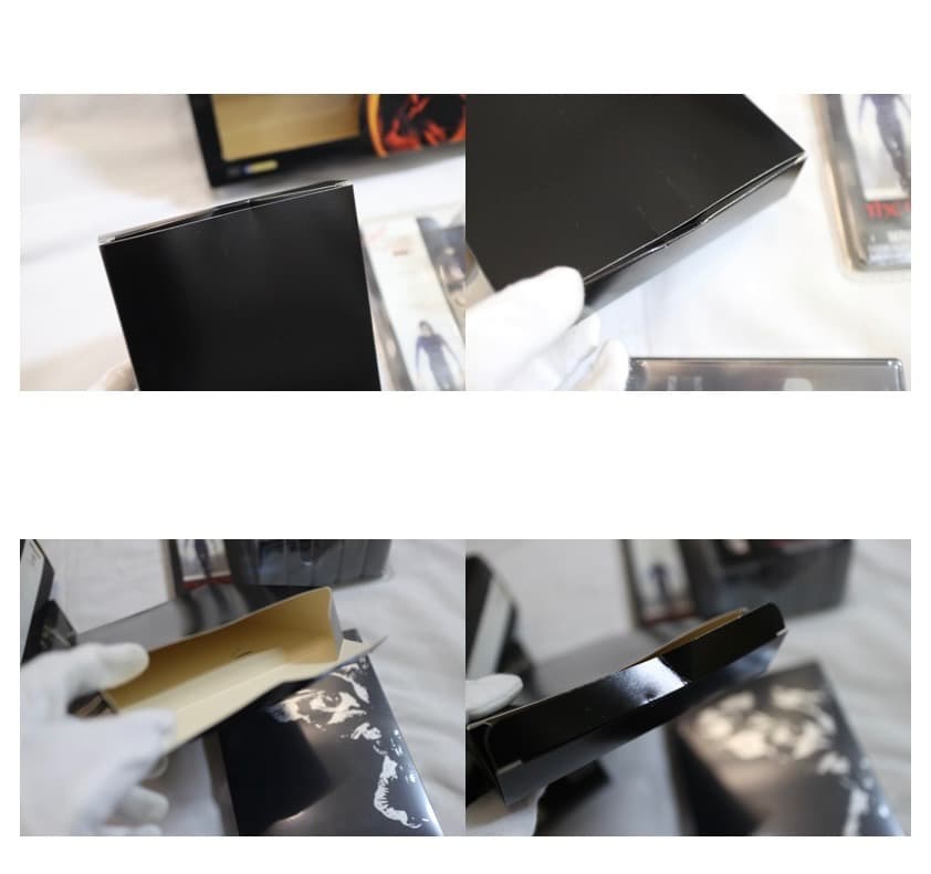 THE CROW ザ・クロウ コレクターBOX フィギュア/DVD/CD