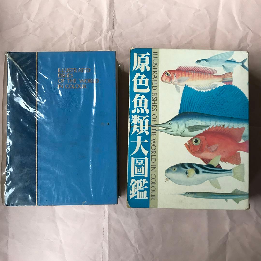 【冬セール】原色魚類大圖鑑