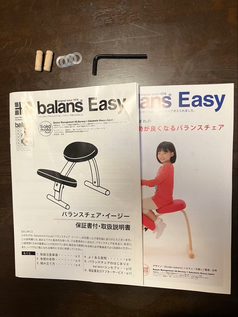 バランスチェア・イージー　専用カバーつき　バランスラボ