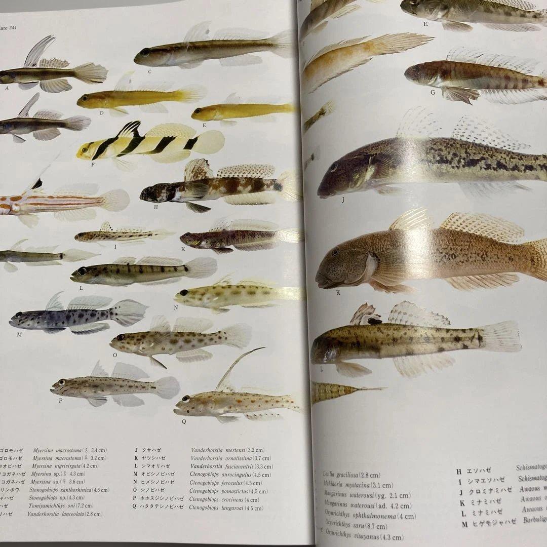 日本産魚類大図鑑 全2巻　東海大学出版会