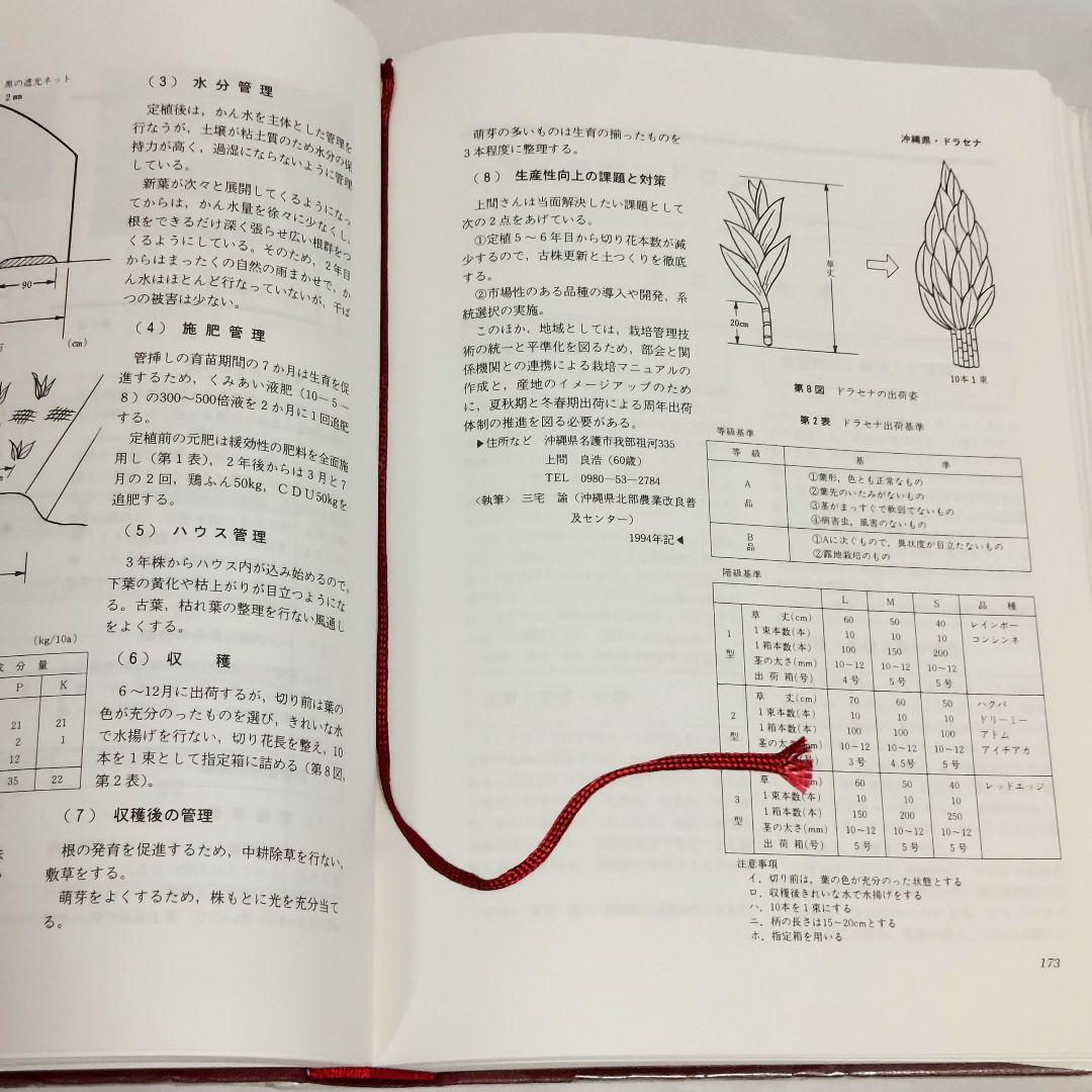 【希少！　初版！　美品！】　​花卉園芸大百科 16　観葉植物　サボテン　多肉植物