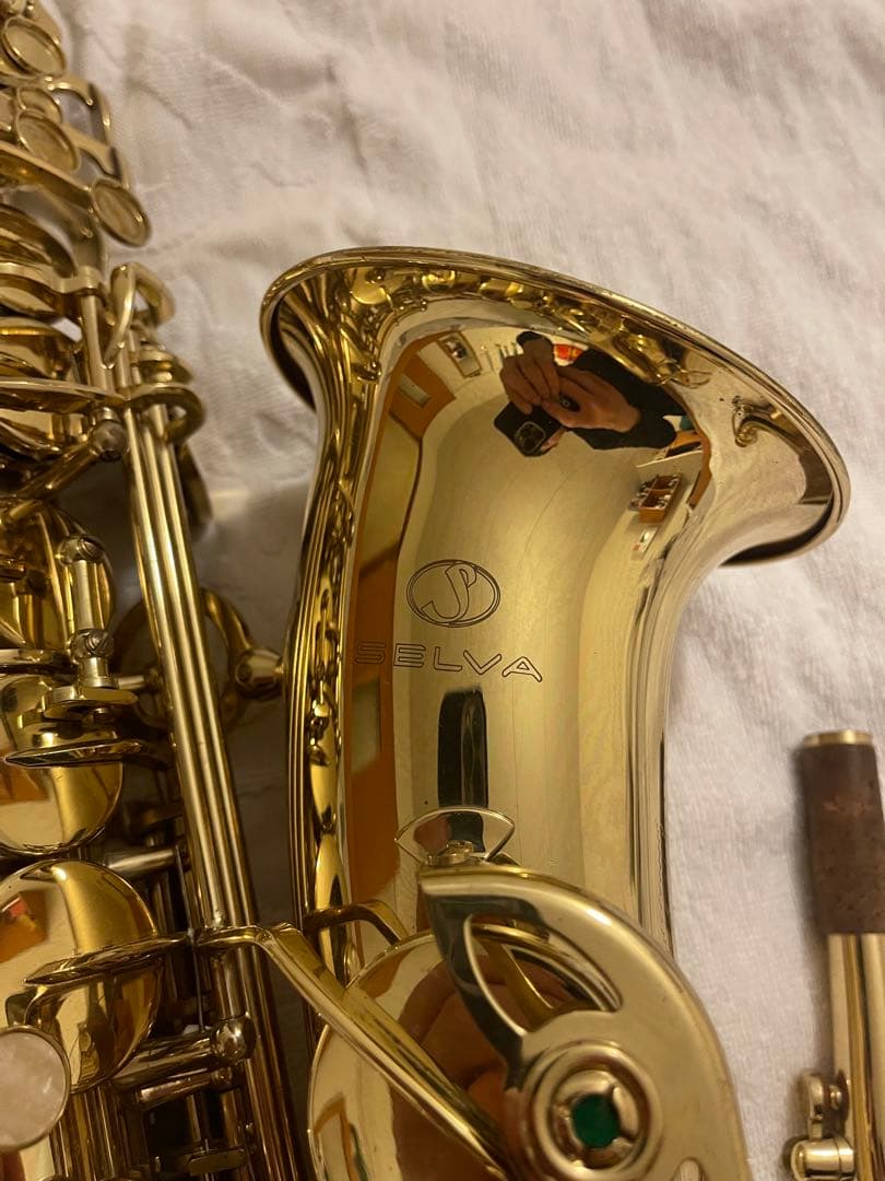 Selvaアルトサックス ブラス製!!