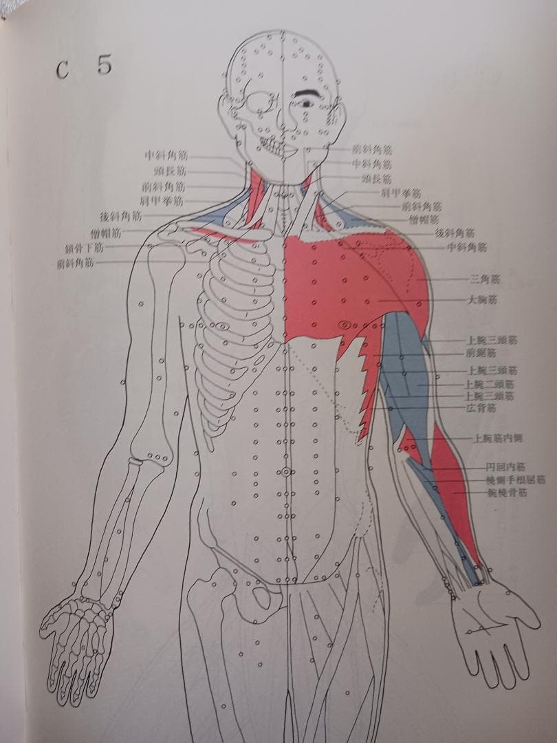 脊椎対照機能的診断法　レントゲン無しで脊髄の異常個所を診断