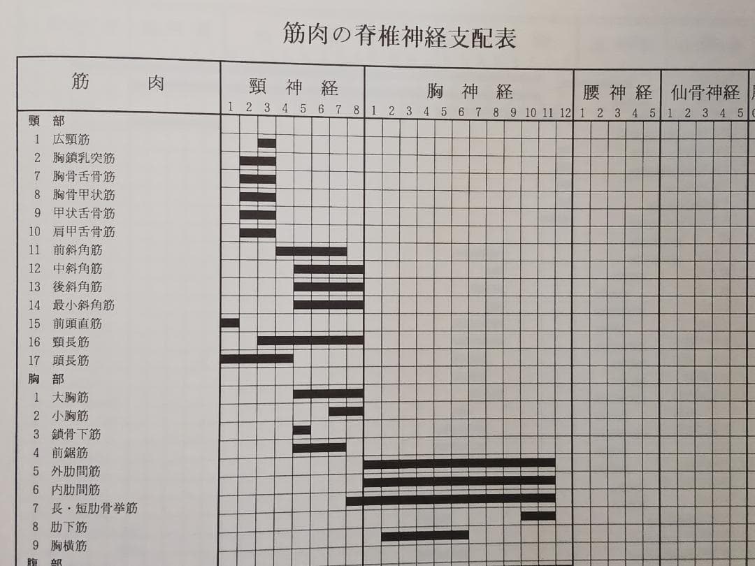脊椎対照機能的診断法　レントゲン無しで脊髄の異常個所を診断