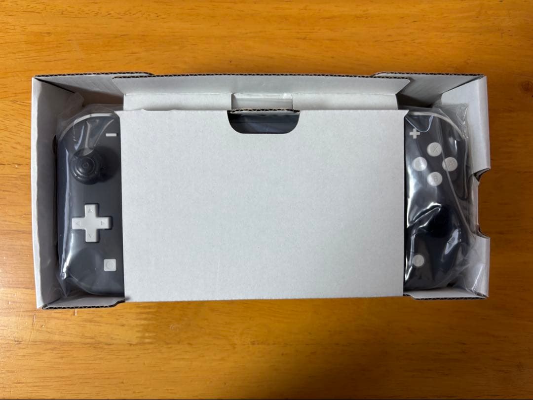 Nintendo Switch Lite グレー 本体　ケース　カバー付き