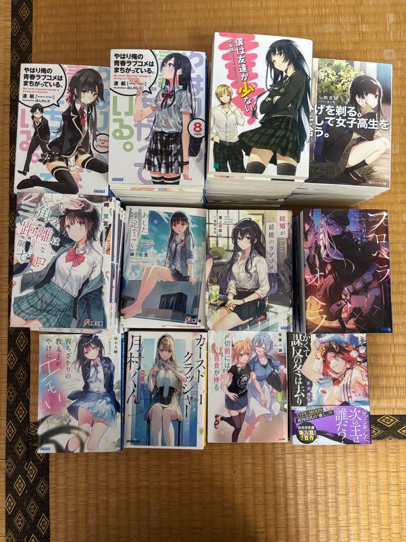 ライトノベルまとめ売り（タイトル毎のバラ売り可）