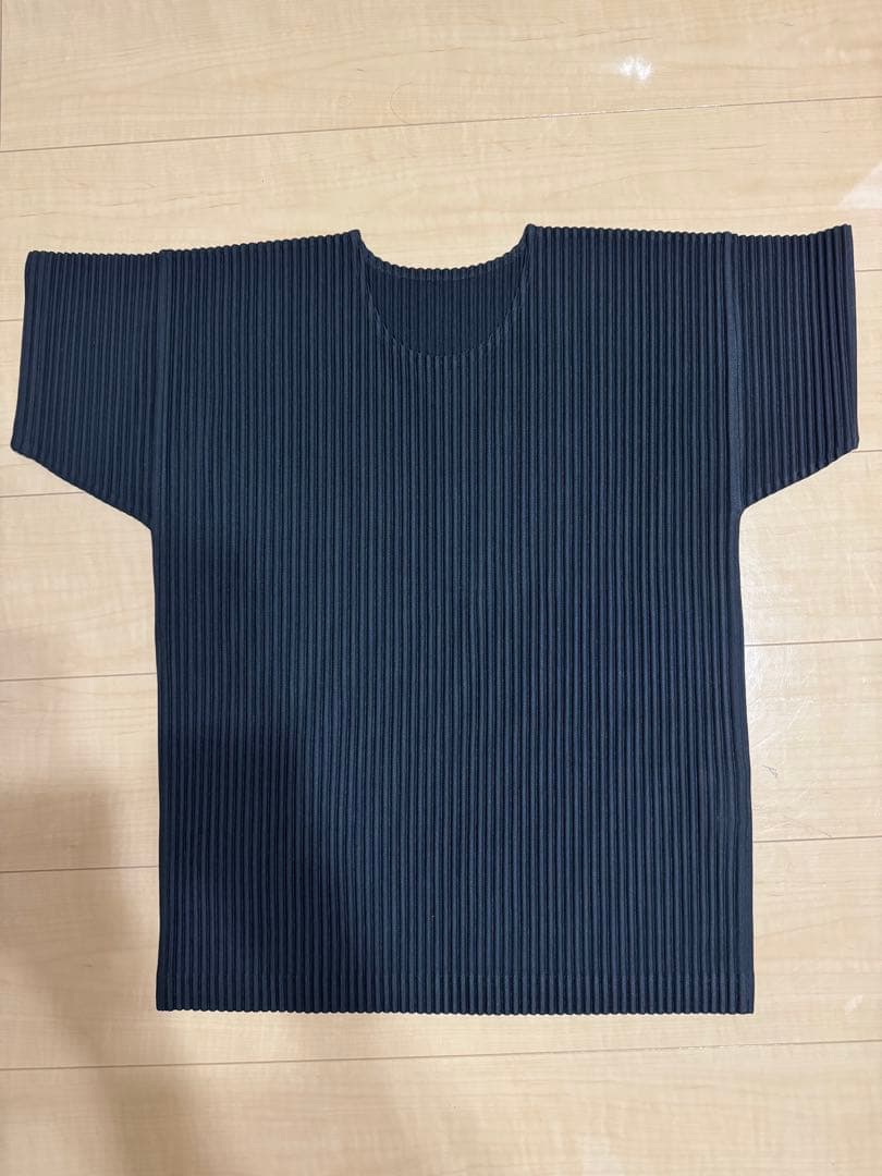 HOMMEPLISSE ISSEYMIYAKE【プリーツカットソー】size:2