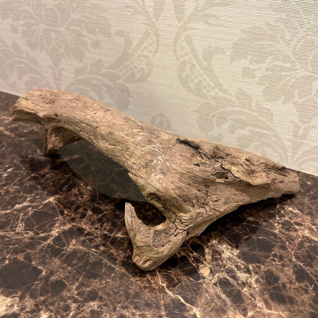 【コエポン】12点まとめ買い