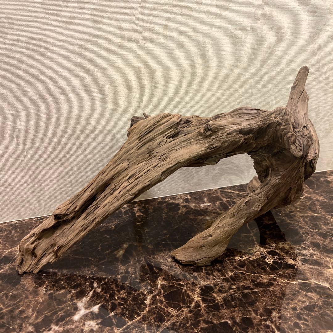 【コエポン】12点まとめ買い