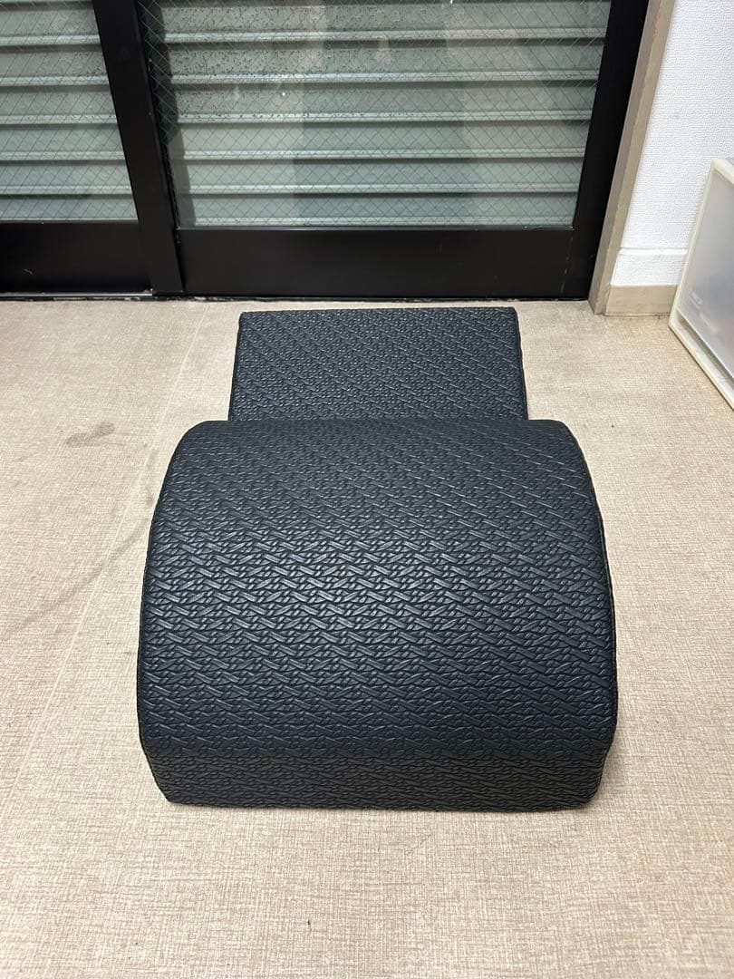 サンテプラス　フレックスバレル　クジラ型