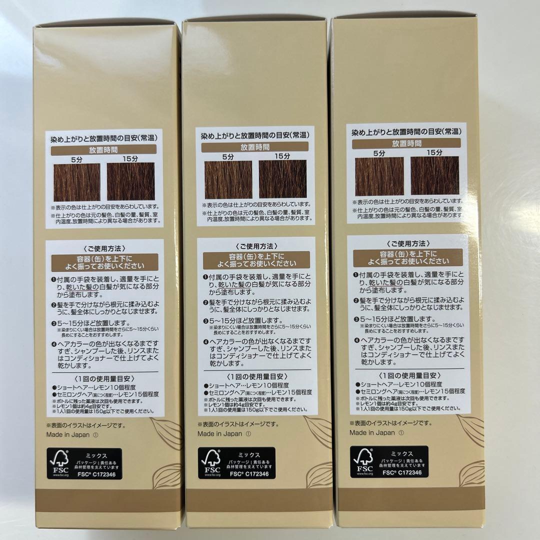 ヘアボーテ エクラ ボタニカル エアカラーフォーム up ライトブラウン