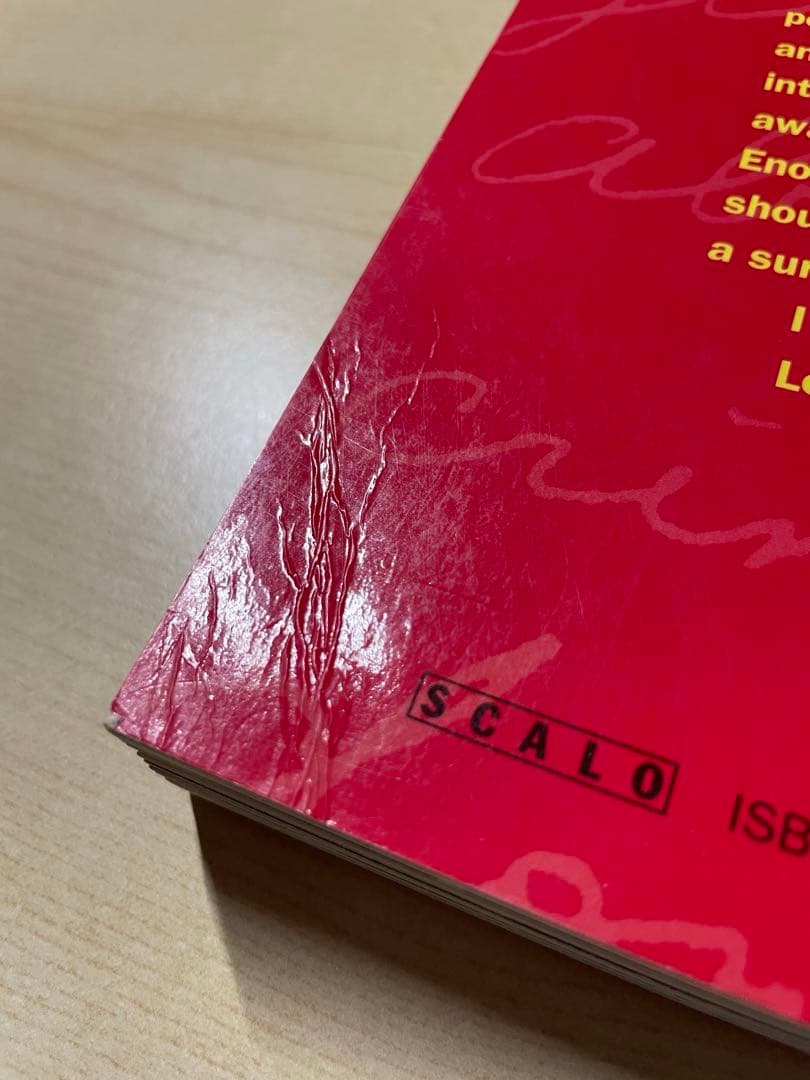 アート・デザイン・音楽 Jim Goldberg Raised by Wolves