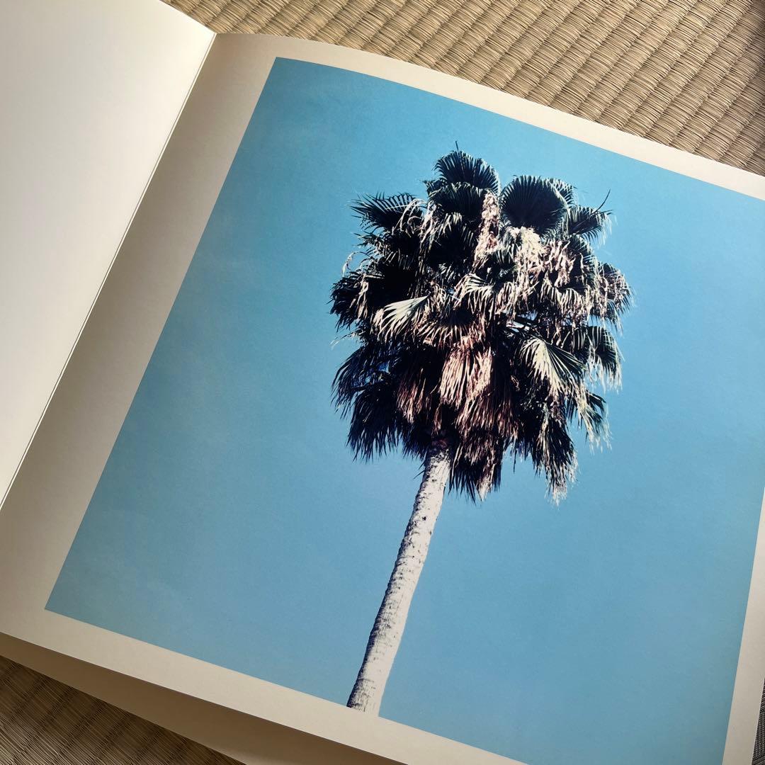 アート・デザイン・音楽 Pretty Lies 1997 / jack pierson