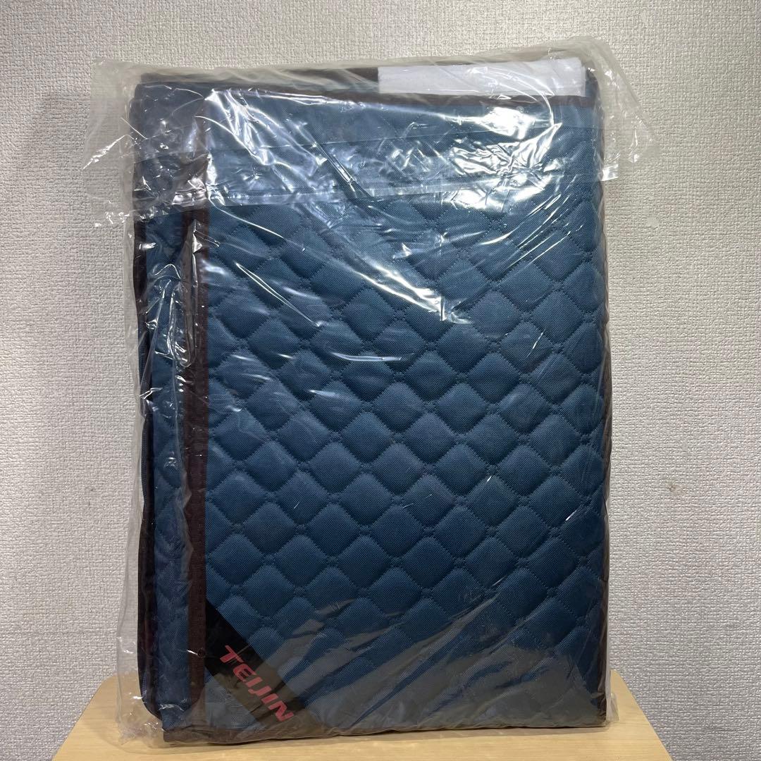 【未開封】TEIJIN カラッと収納ケース プレミアム 収納袋