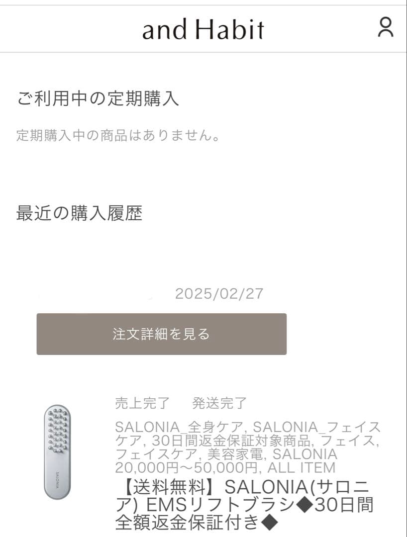 SALONIA EMSリフトブラシ　シルバー　美品