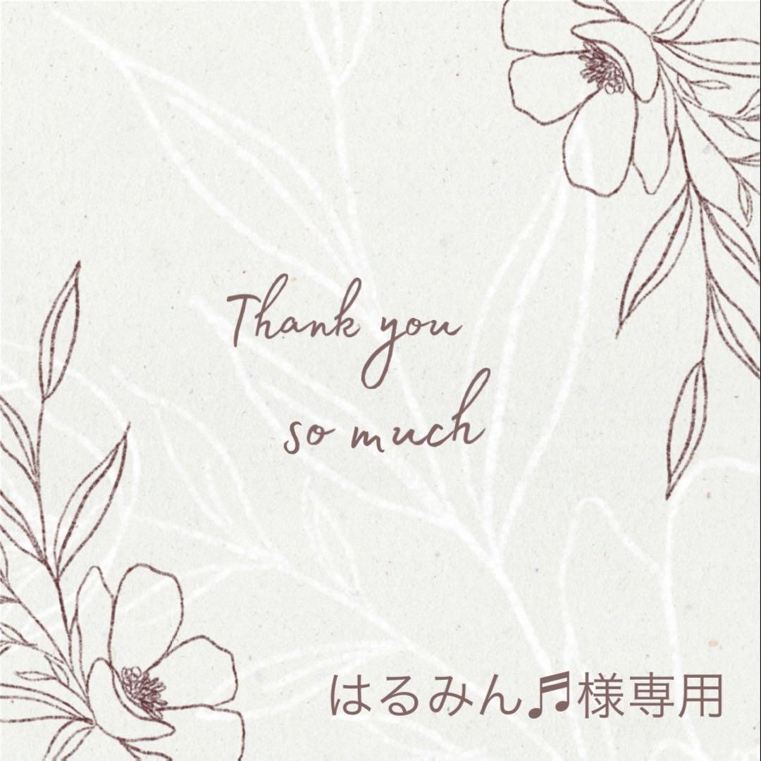 はるみん♬様 リクエスト 5点 まとめ商品