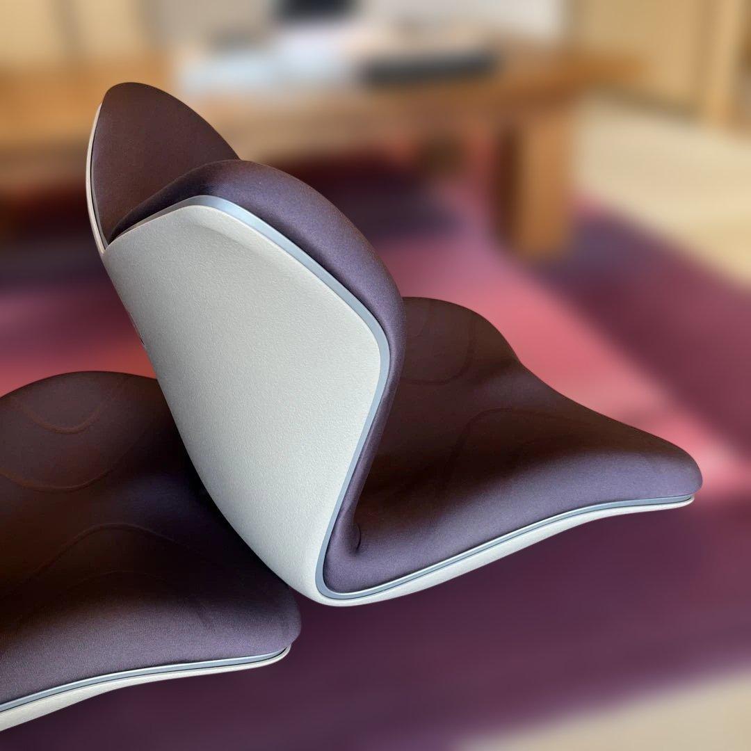 【美品】MTG スタイルプレミアム　ブラウン　矯正 （2個セット）