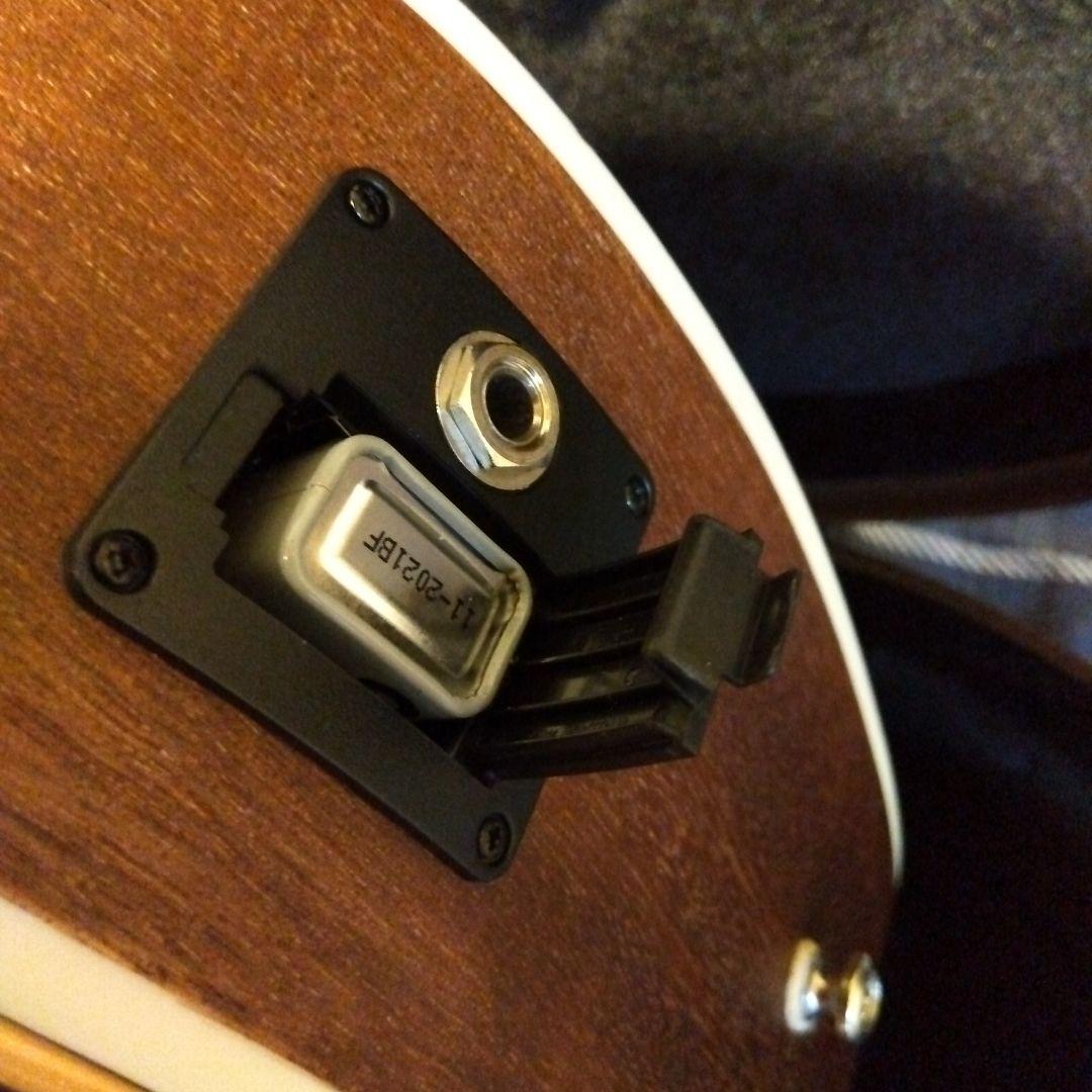 スタッフォード 　エレアコ　タカミネハードケース付き