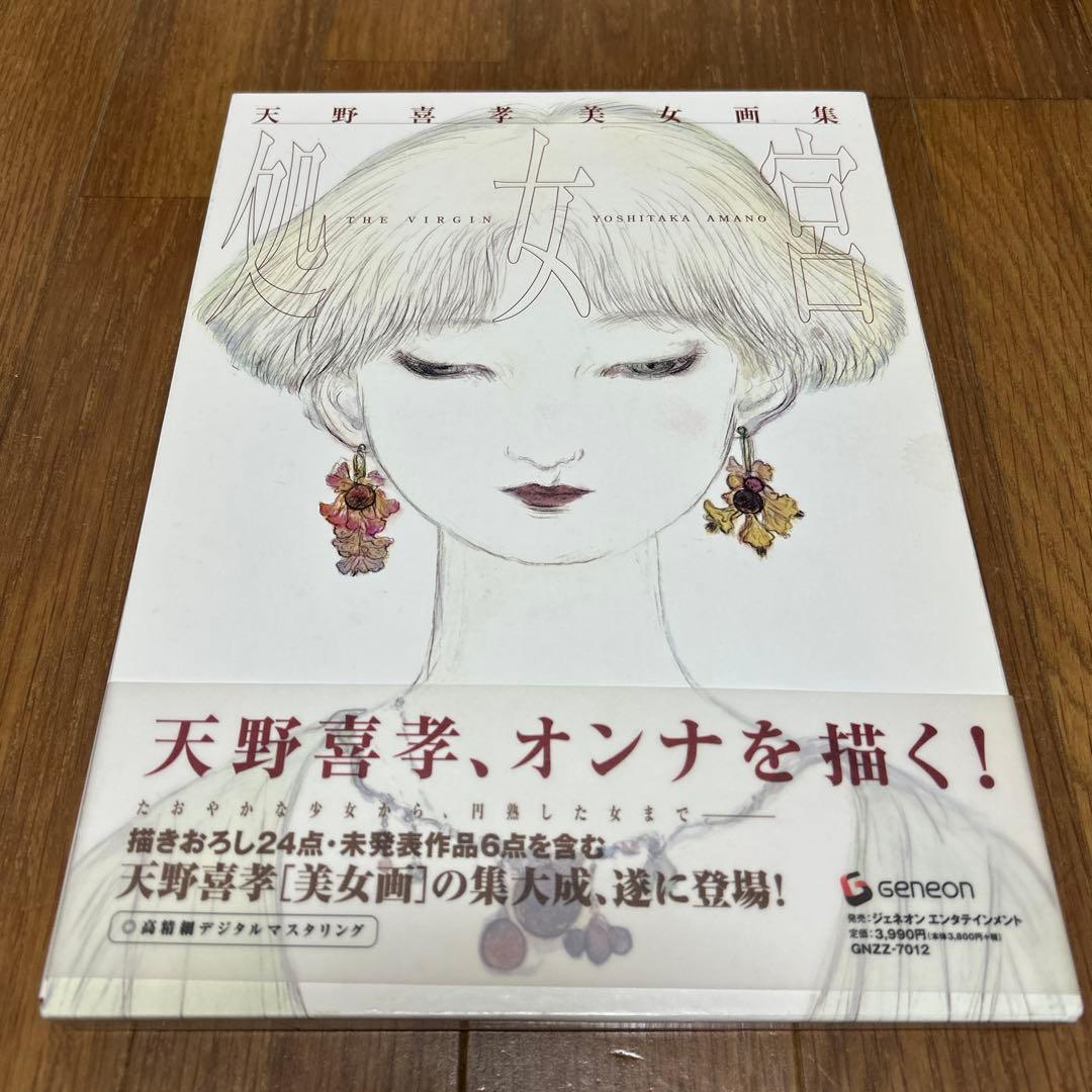 希少　【絶版　初版】　天野喜孝 美女画集 処女宮