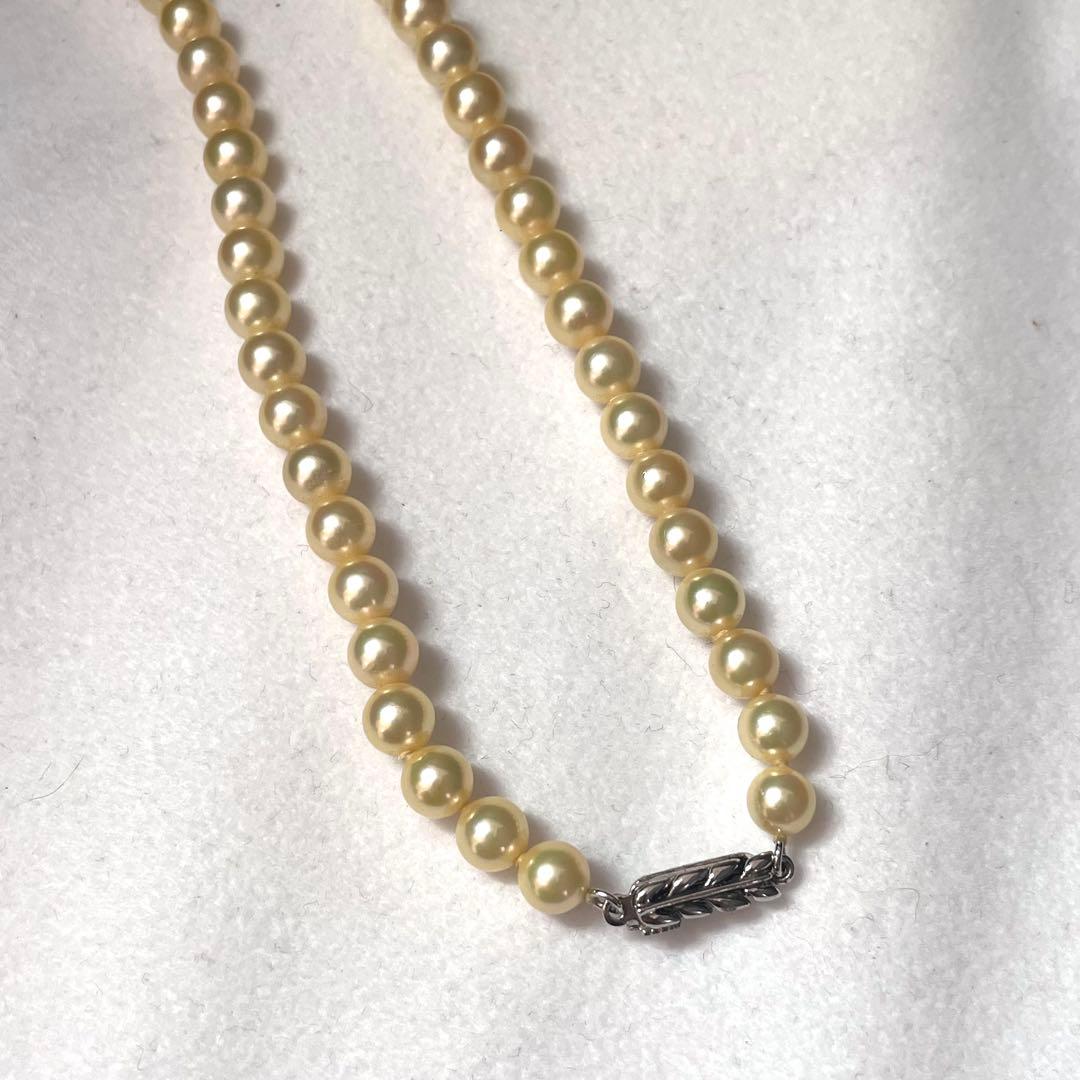 【希少色 テリ強】あこや真珠 ゴールデン パールネックレス 5.6-6.4mm