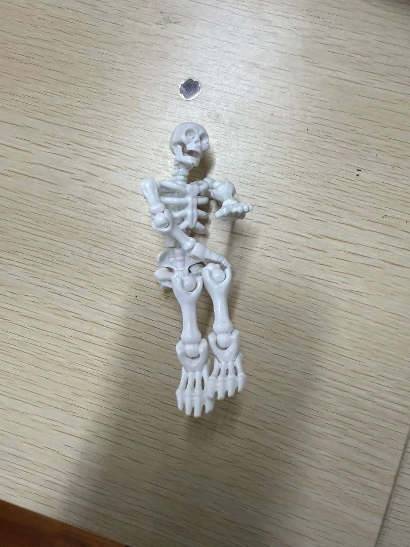 可動式ホワイト人体模型