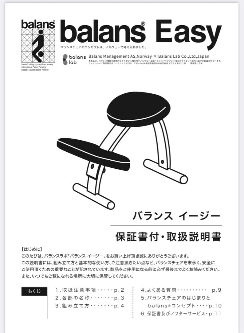 balance Easy バランス イージー⭐︎ブラウンカバー付き