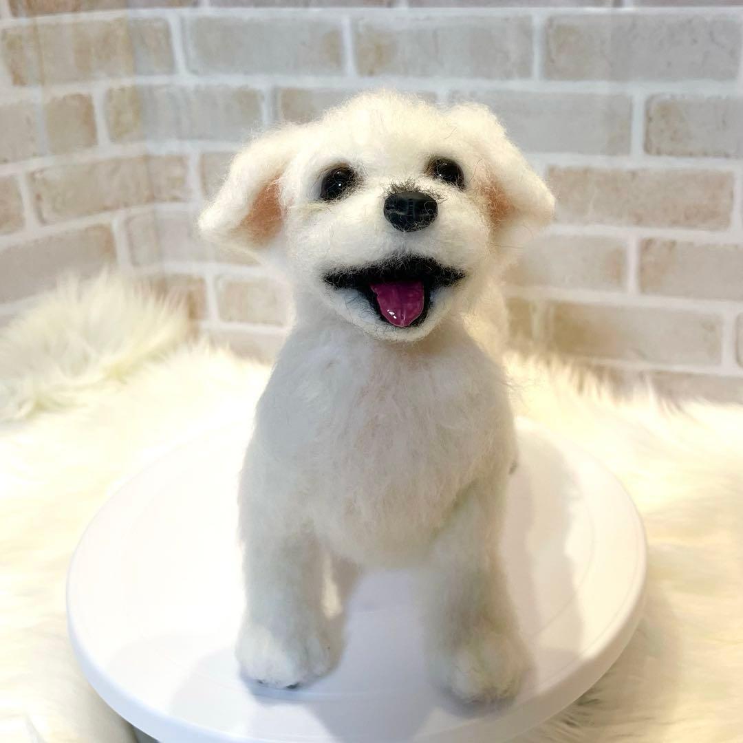 ジ*原様 羊毛フェルト　マルチーズ　momoichigo