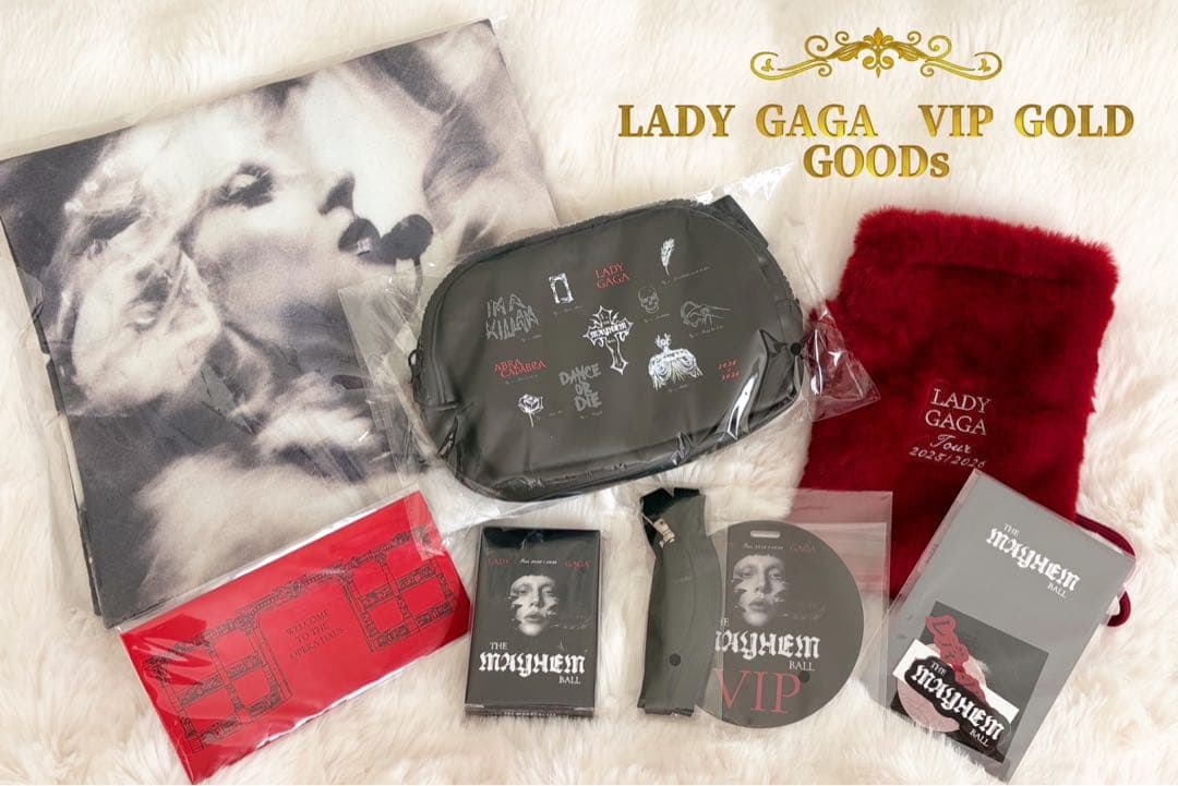 レディーガガ2026 東京ドーム VIPゴールド特典セット