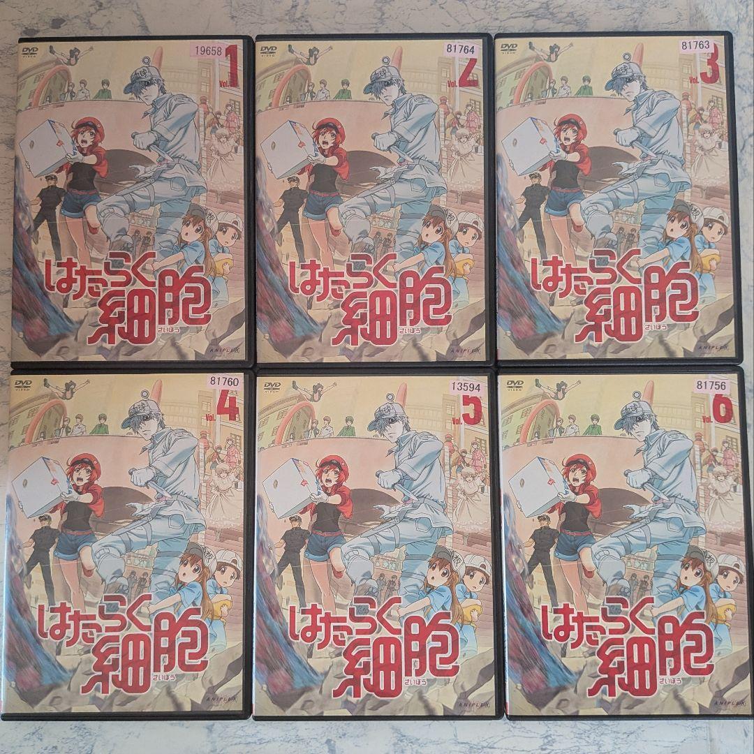 DVD　はたらく細胞　1期、2期、スペシャル、スピンオフ　計19巻　新品ケース付